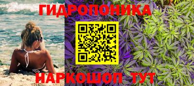 крисы Нарткала